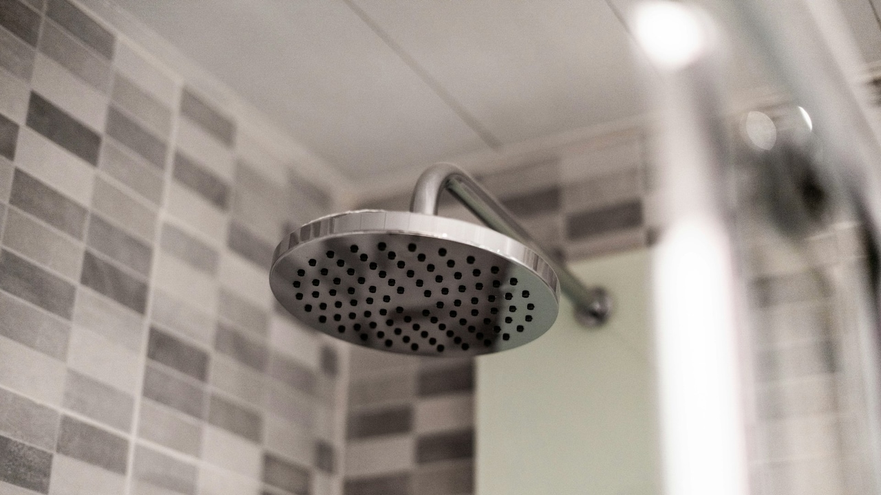 Shower filters can