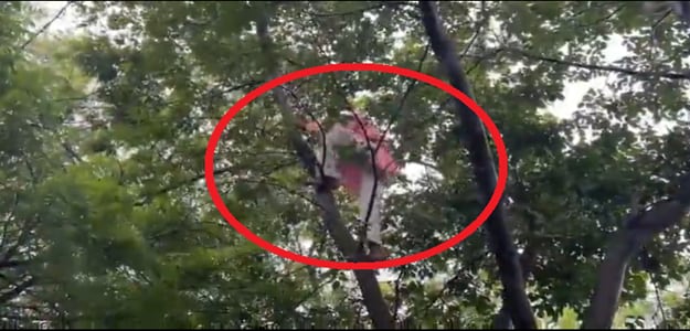 अन्नदाता परेशान! कलेक्ट्रेट में हुआ हंगामा; क्यों पेड़ पर चढ़कर किसान ने किया सुसाइड का प्रयास अन्नदाता परेशान! कलेक्ट्रेट में हुआ हंगामा; क्यों पेड़ पर चढ़कर किसान ने किया सुसाइड का प्रयास