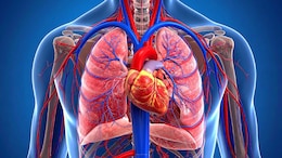 World Heart Day 2025: हृदयाच्या आरोग्याकडे तरुणांचे होतंय दुर्लक्ष, शरीराच्या या लक्षणांमुळे उद्भवतील गंभीर समस्या