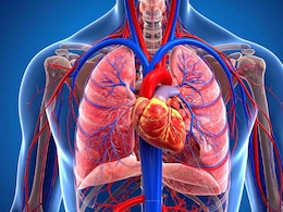 World Heart Day 2025: हृदयाच्या आरोग्याकडे तरुणांचे होतंय दुर्लक्ष, शरीराच्या या लक्षणांमुळे उद्भवतील गंभीर समस्या World Heart Day 2025: हृदयाच्या आरोग्याकडे तरुणांचे होतंय दुर्लक्ष, शरीराच्या या लक्षणांमुळे उद्भवतील गंभीर समस्या