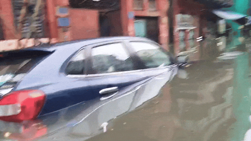 7 Dead As Heavy Rain Paralyses Kolkata Days Before Durga Puja, Roads Flooded