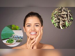 गिलोय की लकड़ी पीसकर लगा लें चेहरे पर, मुरझाई त्वचा में आ जाएगा निखार गिलोय की लकड़ी पीसकर लगा लें चेहरे पर, मुरझाई त्वचा में आ जाएगा निखार