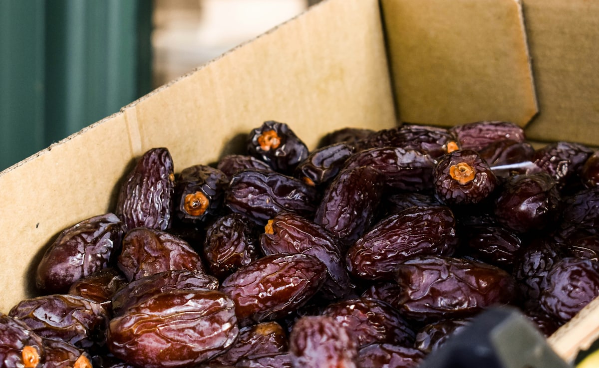 Latest and Breaking News on NDTV