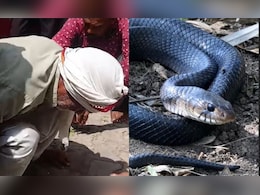 बुजुर्ग के साथ हो रहा अजब! सांप ने 13 बार डसा! काटते ही हनुमान मंदिर ले जाता है परिवार बुजुर्ग के साथ हो रहा अजब! सांप ने 13 बार डसा! काटते ही हनुमान मंदिर ले जाता है परिवार