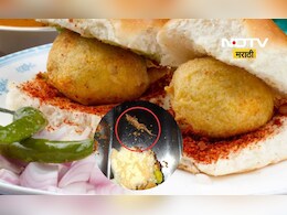 Raigad News: अरे बापरे! हे काय वडापावमध्ये आढळली पाल, पुढे जे घडलं ते...