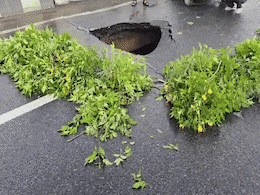 VIDEO: फ्लाईओवर में हो गया गड्ढा... चपेट में आया ऑटो वाला, भारी बारिश के बीच दिल्ली में हादसा VIDEO: फ्लाईओवर में हो गया गड्ढा... चपेट में आया ऑटो वाला, भारी बारिश के बीच दिल्ली में हादसा