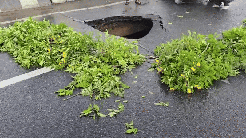 VIDEO: फ्लाईओवर में हो गया गड्ढा... चपेट में आया ऑटो वाला, भारी बारिश के बीच दिल्ली में हादसा