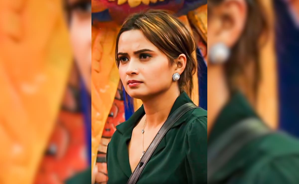 Bigg Boss 19: नीलम गिरी ने टास्क के दौरान अपनी टी-शर्ट में छिपाए बिस्कुट, मेल कंटेस्टेंट्स ने लगाई लताड़