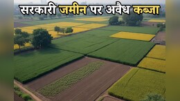 भोपाल के मछली परिवार पर बड़ा खुलासा, अवैध रूप से कब्जे की जमीन पर चलाई जा रहीं दुकानें