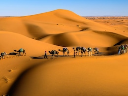 What Is Thar Desert Famous For? Top 5 Attractions And Activities What Is Thar Desert Famous For? Top 5 Attractions And Activities