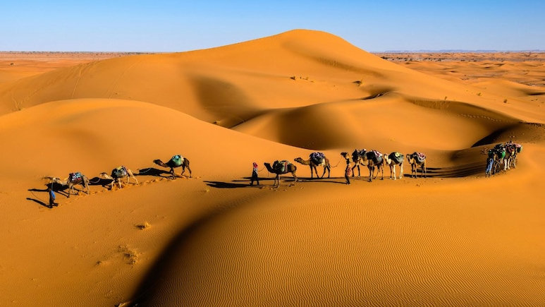 What Is Thar Desert Famous For? Top 5 Attractions And Activities What Is Thar Desert Famous For? Top 5 Attractions And Activities