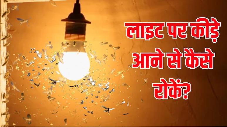 लाइट जलाते ही कीड़ों से भर जाता है घर? जानें बल्ब और ट्यूब लाइट पर कीड़े आने से कैसे रोकें