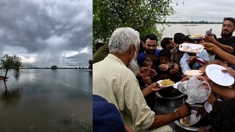 पाकिस्तान से कुदरत छीन रही रोटी! बाढ़ से तबाह हुईं फसलें, UN ने दी खाद्य संकट की चेतावनी पाकिस्तान से कुदरत छीन रही रोटी! बाढ़ से तबाह हुईं फसलें, UN ने दी खाद्य संकट की चेतावनी