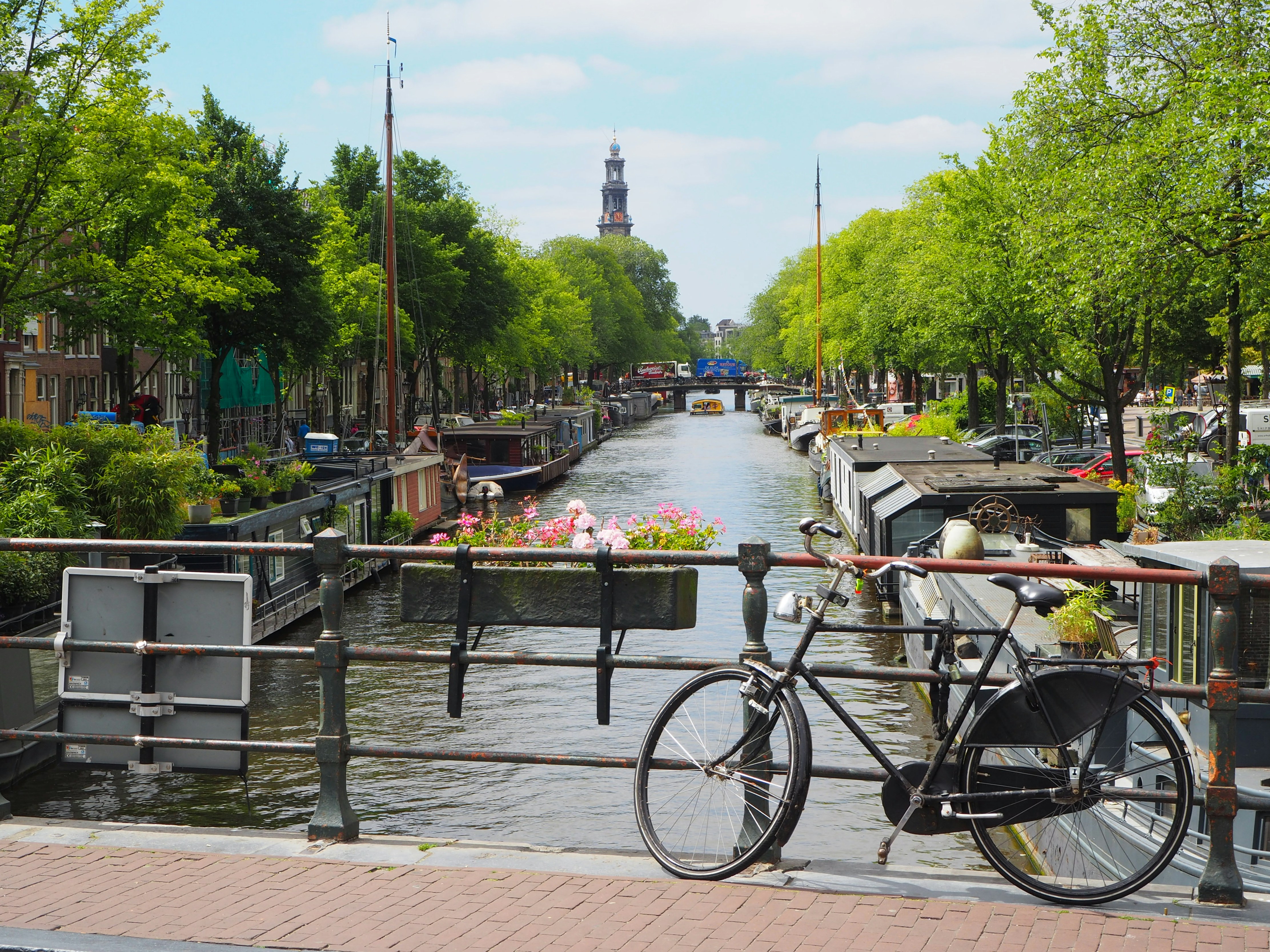 Netherlands Is Offering A Permanent Residency For Under Rs 26,000 And Indians Can Apply Too