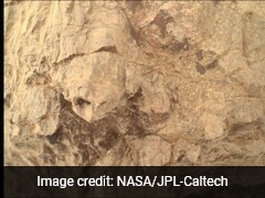 NASA's Mars Perseverance Rover Spots Rock That Looks Strikingly Like Turtle