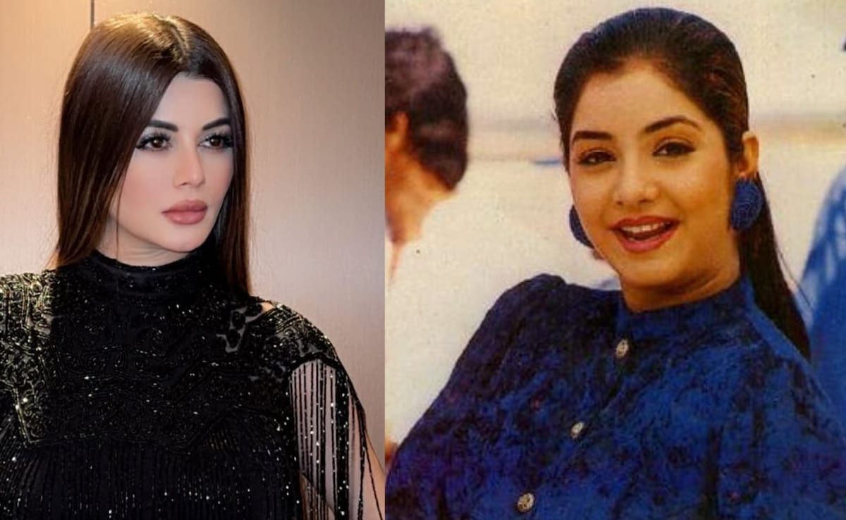 Divya Bharti's Cousin Kainaat Arora Recalls How A Priest Predicted "She Will Be Reborn," Says Her Mother Believed It
