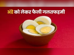 अंडे नहीं बढ़ाते कोलेस्ट्रॉल, असली गुनहगार निकला सैचुरेटेड फैट