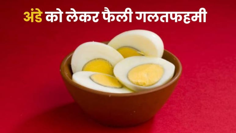 अंडे नहीं बढ़ाते कोलेस्ट्रॉल, असली गुनहगार निकला सैचुरेटेड फैट