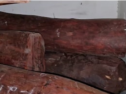 Video: Forest Department Seizes 4,000 Kg Red Sandalwood Worth Rs 12 Crore In Maharashtra Video: Forest Department Seizes 4,000 Kg Red Sandalwood Worth Rs 12 Crore In Maharashtra