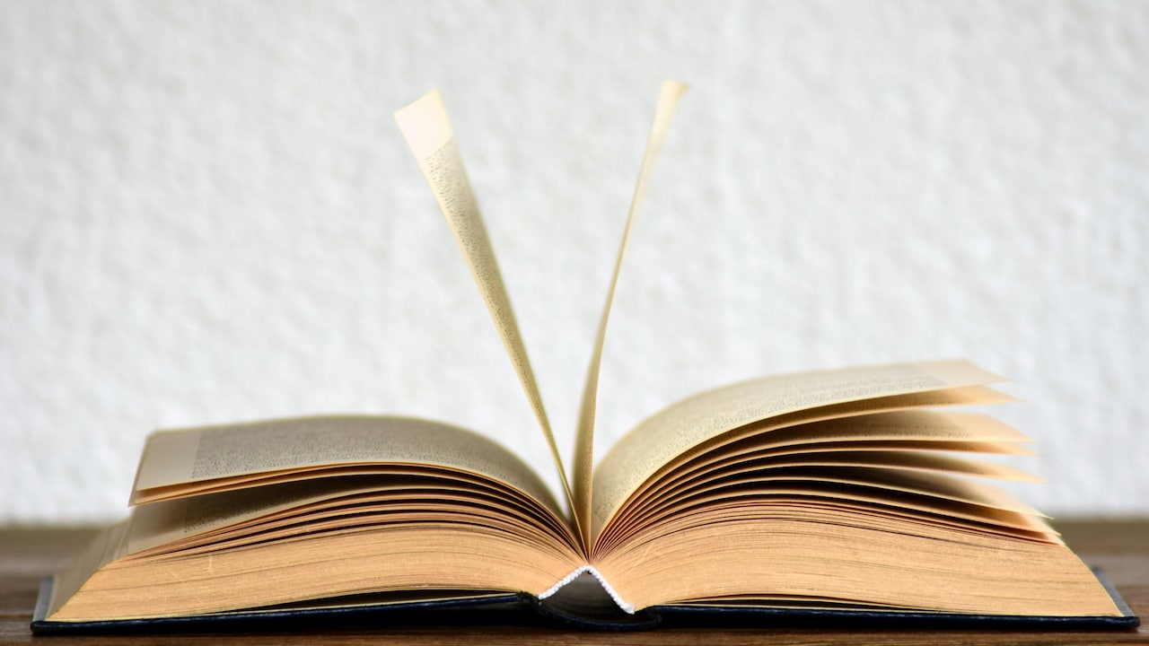 What Kids 912 Should Read In 2025: Expert Picks For Young Readers