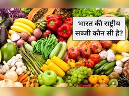 भारत का राष्ट्रीय सब्जी कौन सा है? नाम बता दिया तो मान जाएंगे अगले आइंस्टीन होंगे आप भारत का राष्ट्रीय सब्जी कौन सा है? नाम बता दिया तो मान जाएंगे अगले आइंस्टीन होंगे आप