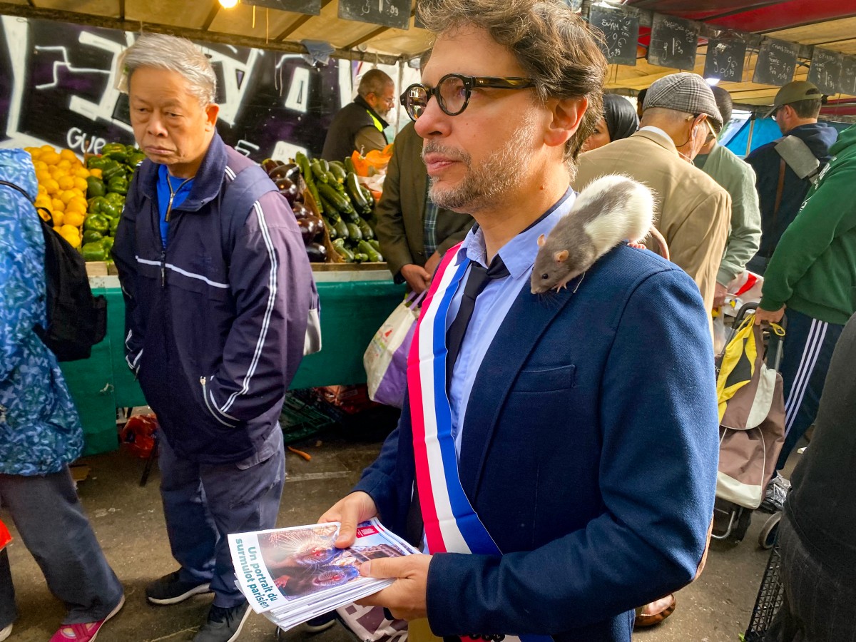Tails Of City: Paris Rats Find Unlikely Political Ally