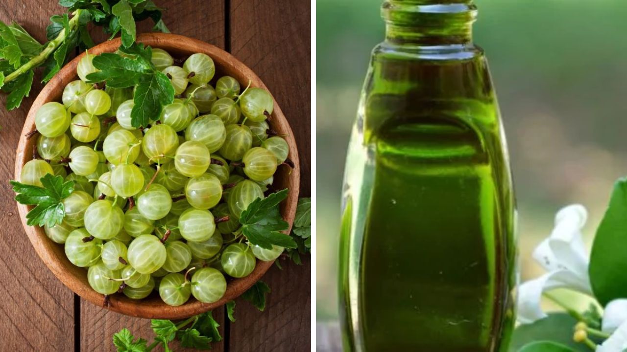 आंवला या भृंगराज, बालों की ग्रोथ के लिए सबसे अच्छा तेल कौन सा है?