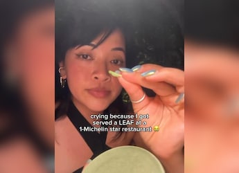 Vlogger Gets Just A Leaf At Michelin-Starred Restaurant, Post Goes Viral