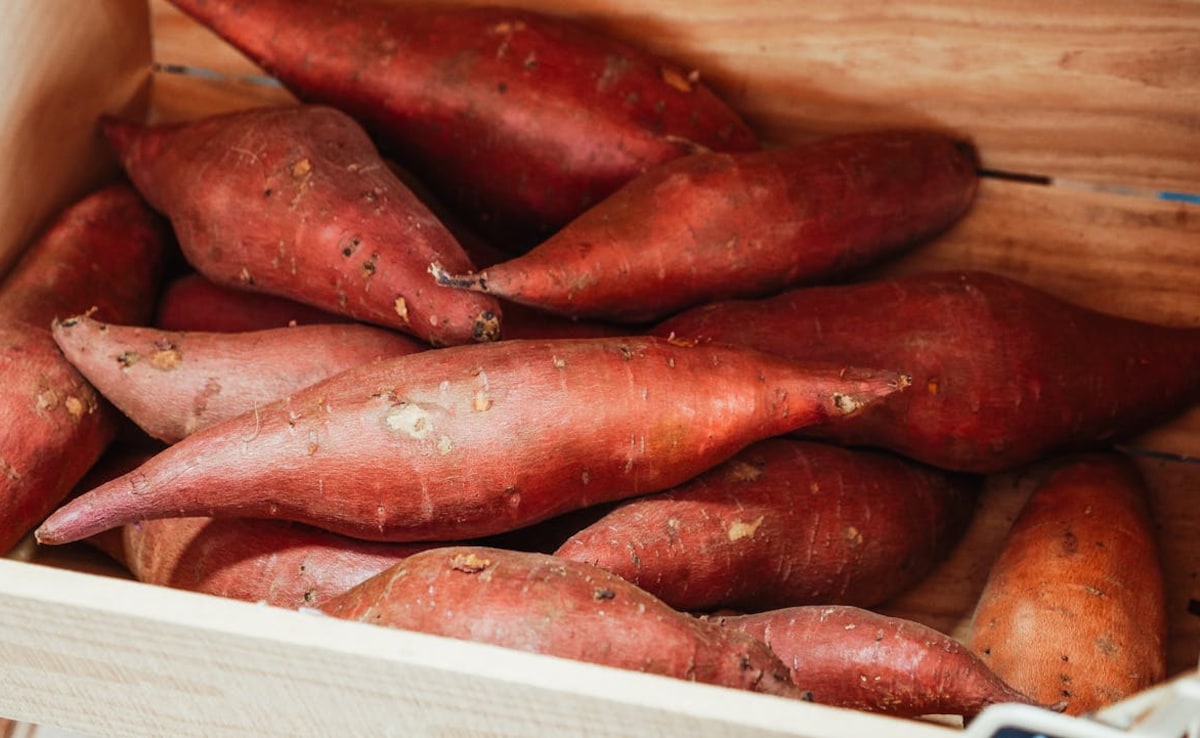 shakarkandi benefits in hindi, HEALTH BENEFITS AND SIDE EFFECTS OF EATING SWEET POTATOES DAILY FOR 30 DAYS, HOW MANY CALORIES ARE IN 1 SWEET POTATO, ROJANA SHAKARKAND KHANE SE KYA HOGA,  SHAKARKAND KHANE KE FAYDE NUKSAN, SHAKARKANDI NUTRIENTS, SWEET POTATO CALORIES AND GLYCEMIC INDEX Latest and Breaking News on NDTV