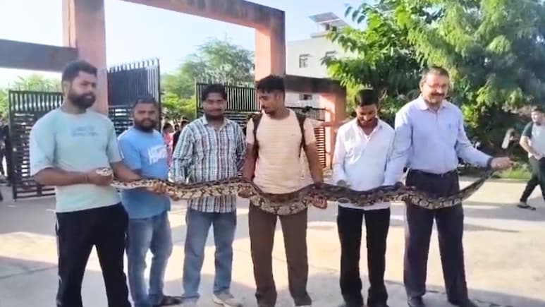 Video: कॉलेज में एग्जाम देने पहुंचा 15 फीट लंबा अजगर! टीचर्स ने देखते ही हाथों में लेकर निकाला बाहर
