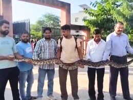 Video: कॉलेज में एग्जाम देने पहुंचा 15 फीट लंबा अजगर! टीचर्स ने देखते ही हाथों में लेकर निकाला बाहर Video: कॉलेज में एग्जाम देने पहुंचा 15 फीट लंबा अजगर! टीचर्स ने देखते ही हाथों में लेकर निकाला बाहर