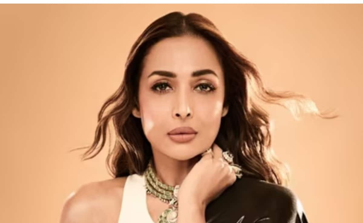 Who Is Harsh Mehta, The Mystery Man Malaika Arora Is Rumoured To Be Dating
