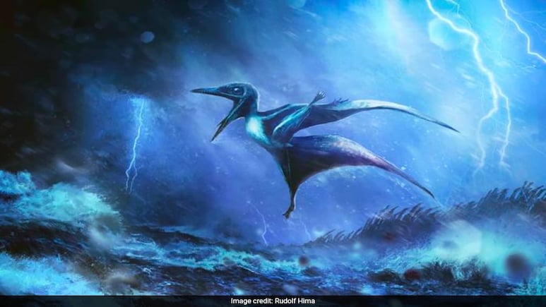 Pterosaur Post-Mortem Reveals New Insights, Helps Scientists Uncover Ancient Secrets Pterosaur Post-Mortem Reveals New Insights, Helps Scientists Uncover Ancient Secrets
