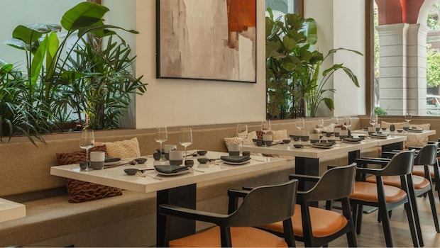 Otoki In Colaba Presents Fresh Japanese Flavours With Refined Flair