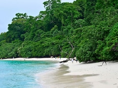 Radhanagar Beach In 12 Hours: A Complete Day Guide To India's Favourite Beach