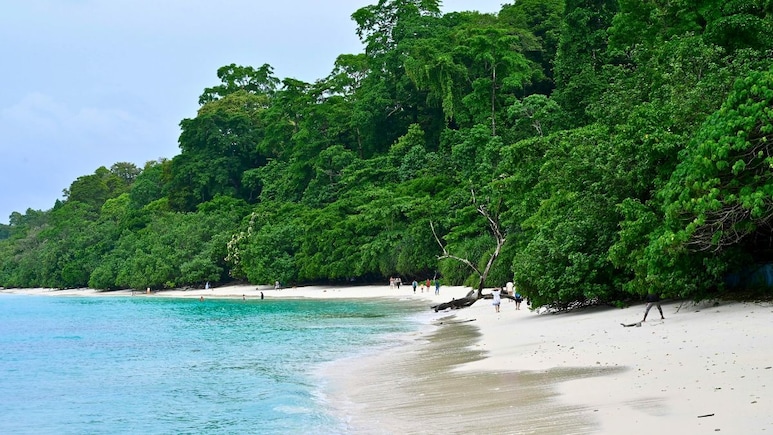 Radhanagar Beach In 12 Hours: A Complete Day Guide To India's Favourite Beach