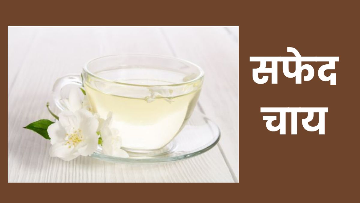 क्या आपने पी है सफेद चाय? ग्रीन टी के बाद अब हेल्थ व्हाइट टी का ट्रेंड