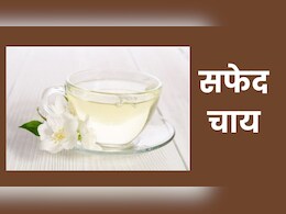 क्या आपने पी है सफेद चाय? ग्रीन टी के बाद अब हेल्थ व्हाइट टी का ट्रेंड क्या आपने पी है सफेद चाय? ग्रीन टी के बाद अब हेल्थ व्हाइट टी का ट्रेंड