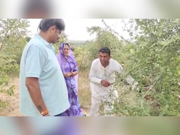 बाड़मेर के देवाराम ने गुग्गल की खेती कर खोली नई राह, बोला- किसानों की बढ़ेगी आय बाड़मेर के देवाराम ने गुग्गल की खेती कर खोली नई राह, बोला- किसानों की बढ़ेगी आय