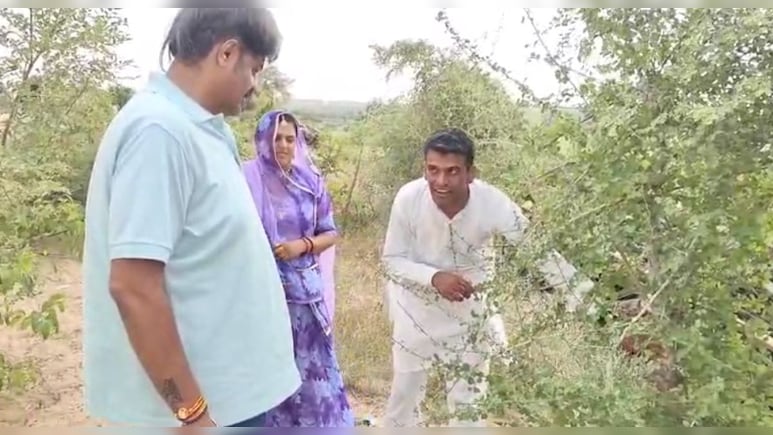बाड़मेर के देवाराम ने गुग्गल की खेती कर खोली नई राह, बोला- किसानों की बढ़ेगी आय बाड़मेर के देवाराम ने गुग्गल की खेती कर खोली नई राह, बोला- किसानों की बढ़ेगी आय
