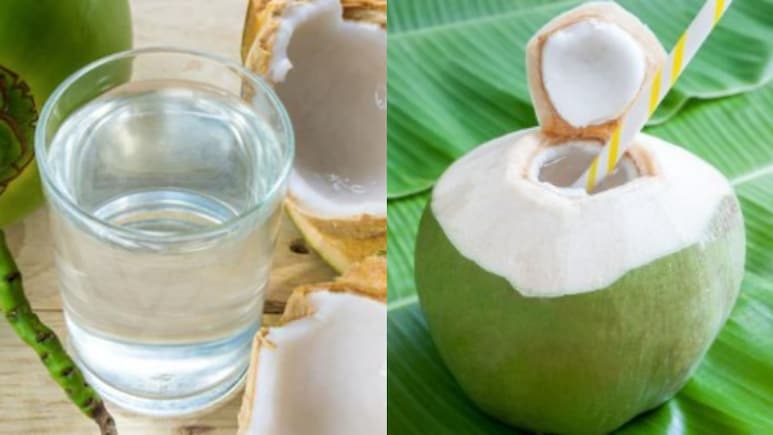 नारियल पानी: हृदय से लेकर त्वचा तक देता है कई लाभ; सेहत का अनमोल तोहफा नारियल पानी: हृदय से लेकर त्वचा तक देता है कई लाभ; सेहत का अनमोल तोहफा