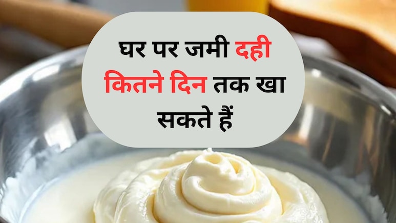 दही कितने दिन फ्रिज में कर सकते हैं स्टोर, जानिए यहां शेल्फ लाइफ