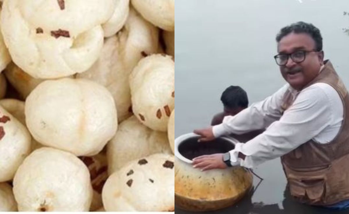 कमर तक पानी, कांटों से दोस्ती, जी तोड़ मेहनत... तब बनता है मखाना, NDTV रिपोर्टर के साथ जानिए पूरा प्रोसेस