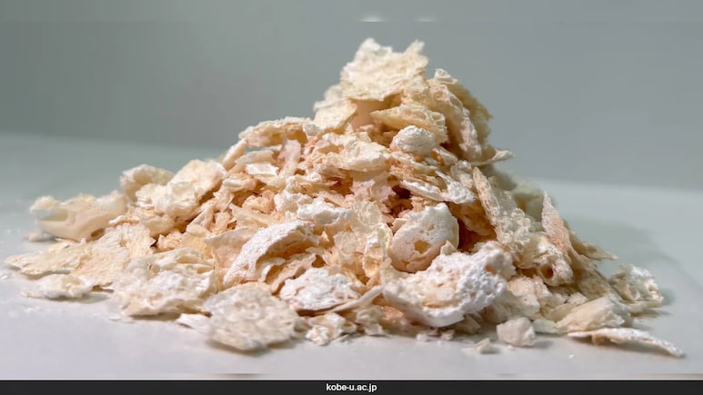 Japanese Scientists Develop Eco-Friendly Plastic Ingredient Using Bacteria Japanese Scientists Develop Eco-Friendly Plastic Ingredient Using Bacteria