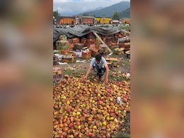 Thousands Of Tonnes Of Apples Rotting In Kashmir Due To Road Closure Thousands Of Tonnes Of Apples Rotting In Kashmir Due To Road Closure