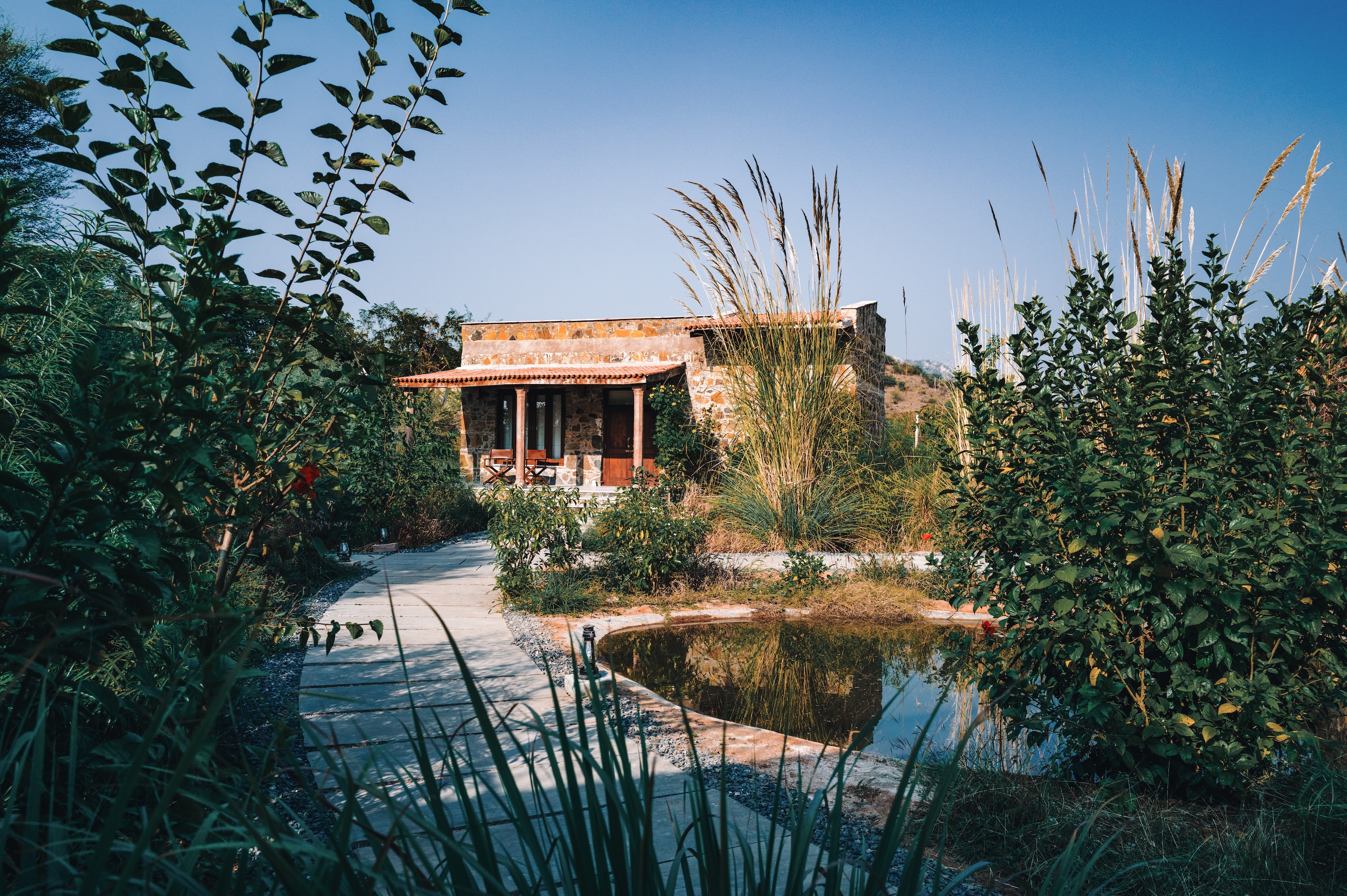 First Review: In Sariska Tiger Reserve, A New Dream In Stone And Wood Rises From The Earth