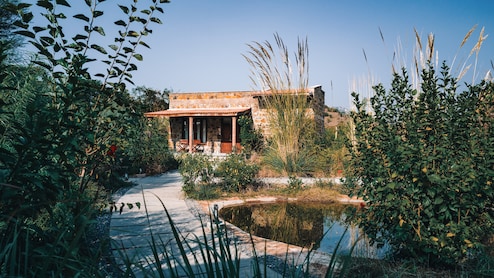 First Review: In Sariska Tiger Reserve, A New Dream In Stone And Wood Rises From The Earth