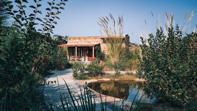 First Review: In Sariska Tiger Reserve, A New Dream In Stone And Wood Rises From The Earth