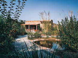 First Review: In Sariska Tiger Reserve, A New Dream In Stone And Wood Rises From The Earth First Review: In Sariska Tiger Reserve, A New Dream In Stone And Wood Rises From The Earth