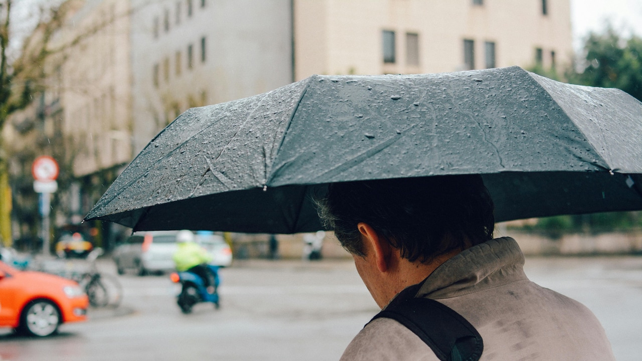 Here are the top umbrella buying guide for 2025